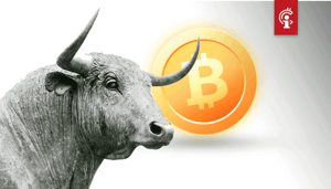 Bitcoin_staat_aan_het_begin_van_een_bull-run_om_de_volgende_vijf_redenen_zegt_Dan_Held_van_Kraken Bitcoin staat aan het begin van een bull-run om de volgende vijf redenen, zegt Dan Held van Kraken