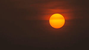 Bitvavo_noteert_na_polkadot_DOT_ook_solana_SOL Bitvavo noteert na polkadot (DOT) ook solana (SOL)!