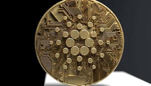 Cardano-ADA-Emurgo-investering Aumentan las grandes transacciones en Cardano: ¿Mercado al alza?