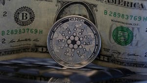 Cardano-DEX-Exchange Celsius topvrouw: 'Cardano exchanges 100x beter dan die op Ethereum"