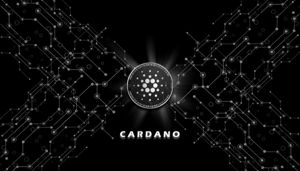 Cardano-NFTs Meer dan 800.000 NFT’s op het Cardano netwerk gecreëerd