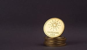Cardano schitterde in 2022, ondanks bearmarkt