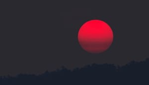 Cardano_ADA_daalt_met_20_terwijl_bitcoin_BTC_deze_belangrijke_support_nadert Cardano (ADA) daalt met +20% terwijl bitcoin (BTC) deze belangrijke support nadert