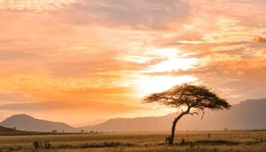Cardano (ADA) gemeenschap stemt 56 voorstellen ontvangen financiering, focus op Afrika