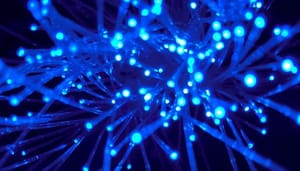 Cardano_ADA_ontvangt_felle_kritiek_over_compliance_CEO_Charles_Hoskinson_reageert Cardano (ADA) ontvangt felle kritiek over compliance, CEO Charles Hoskinson reageert
