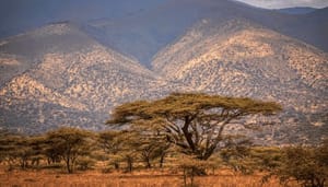 Cardano_ADA_oprichter_tekent_overeenkomst_met_regering_van_Burundi Cardano_(ADA)_oprichter_tekent_overeenkomst_met_regering_van_Burundi