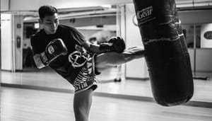 Chiliz (CHZ) brengt samen met vechtsportcompetitie UFC een fan token uit