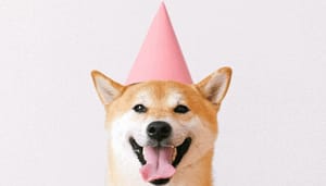 Coinbase_geeft_12_miljard_Dogecoin_DOGE_weg_ter_viering_van_notering_koers_blijft_echter_dalen Coinbase geeft $1,2 miljard Dogecoin (DOGE) weg ter viering van notering, koers blijft echter dalen