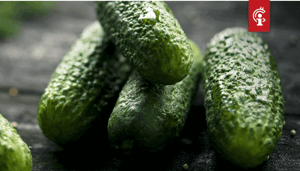 DeFi_platform_Pickle_Finance_gehackt_20_miljoen_DAI_gestolen DeFi platform Pickle Finance gehackt, $20 miljoen DAI gestolen