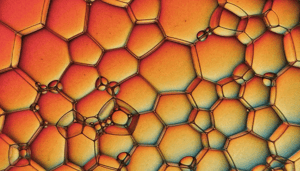 De 100 grootste Polygon (MATIC) bezitters hebben meer dan 90% van het totale aanbod in handen