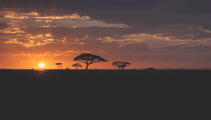 De president van dit Afrikaanse land wil de mogelijkheden van bitcoin (BTC) onderzoeken