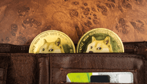 Dogecoin-betalingen-bitcoin-afname Gebruik bitcoin als betaalmiddel daalt, deze crypto's werden populairder