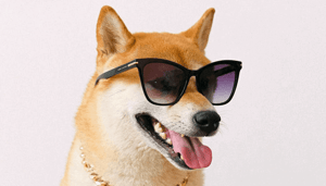 Dogecoin_DOGE_koers_stijgt_weer_hard_nadat_Elon_Musk_reeks_Twitterberichten_publiceert Dogecoin (DOGE) koers stijgt weer hard nadat Elon Musk reeks Twitterberichten publiceert