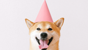 Dogecoin (DOGE) prijs stijgt niet na Musk tweet, maar deze altcoin wel En meer nieuws van deze week