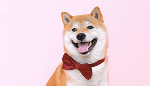 Dogecoin_DOGE_toch_weer_in_ontwikkeling_Voorstel_om_transactiekosten_te_verlagen_ingediend Dogecoin (DOGE) toch weer in ontwikkeling? Voorstel om transactiekosten te verlagen ingediend