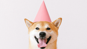 Dogecoin_DOGE_zet_na_stijging_van_1000_nieuw_record_neer_bitcoin_BTC_afgewezen Dogecoin (DOGE) zet na stijging van +1000% nieuw record neer, bitcoin (BTC) afgewezen