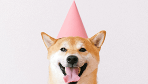 Dogecoin_prijs_naar_nieuwe_high_John_bekijkt_bitcoin_aion_BAKE_BURGER_en_meer Dogecoin prijs naar nieuwe high! John bekijkt bitcoin, aion, BAKE, BURGER en meer