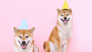 Dogecoin_zakt_verder_maar_deze_spin-off_stijgt_22.000_en_levert_Ethereum_oprichter_Vitalik_Buterin_miljarden Dogecoin zakt verder, maar deze spin-off stijgt 22.000% en levert Ethereum oprichter Vitalik Buterin miljarden