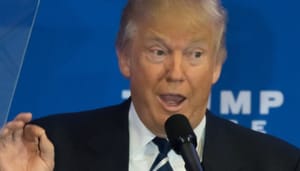 Donald-Trump-NFT Trump mint duizend van zijn eigen zeldzame NFT’s voor zichzelf