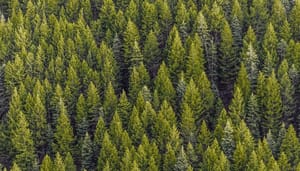 Elrond_EGLD_als_eerste_blockchain_in_Europa_CO2-negatief_goede_stap_voor_crypto Elrond (EGLD) als eerste blockchain in Europa CO2-negatief, goede stap voor crypto
