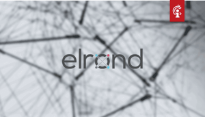 Elrond_ERD_mainnet_gelanceerd_koers_steeg_in_de_afgelopen_maanden_meer_dan_1.000 Elrond (ERD) mainnet gelanceerd, koers steeg in de afgelopen maanden meer dan 1.000%