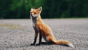 Ethereum_ETH_wallet_MetaMask_bereikt_10_miljoen_maandelijkse_actieve_gebruikers Ethereum (ETH) wallet MetaMask bereikt 10 miljoen maandelijkse actieve gebruikers