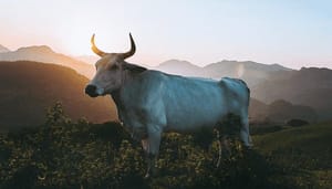 Ethereum_on-chain_gegevens_tonen_bullish_beeld_waaronder_afnemend_aanbod_op_exchanges Ethereum on-chain gegevens tonen bullish beeld, waaronder afnemend aanbod op exchanges
