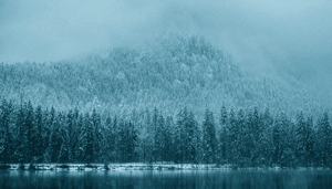 Grayscale_kocht_in_januari_15_keer_zoveel_bitcoin_BTC_dan_gemined_werd_Tesla_gaat_de_race_aan Grayscale kocht in januari 1,5 keer zoveel bitcoin (BTC) dan gemined werd, Tesla gaat de race aan