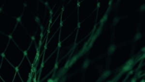 IoTeX (IOTX) prijs breekt uit Gaat deze altcoin belangrijk zijn in de metaverse