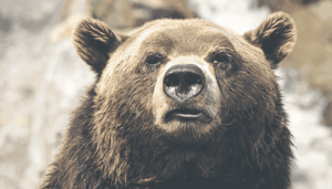 Is de bullmarkt ten einde? John bekijkt de bitcoin prijs crash