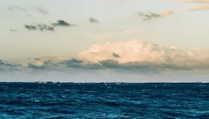 Medewerker van NFT marktplaats OpenSea die werd beschuldigd van insider trading stapt op