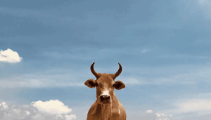 Miljarden_aan_Ethereum_ETH_stromen_weg_bij_Coinbase_en_Binance_zeldzaam_bullish_signaal Miljarden aan Ethereum (ETH) stromen weg bij Coinbase en Binance zeldzaam bullish signaal