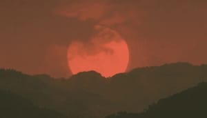 NFT_hack_SushiSwap_krijgt_een_mooi_einde_Alle_ethereum_ETH_is_weer_terug NFT hack SushiSwap krijgt een mooi einde Alle ethereum (ETH) is weer terug!