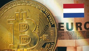 Nederlanders-bitcoin-bezitters-onderzoek Bijna 2 miljoen Nederlanders hebben crypto, bitcoin de grootste