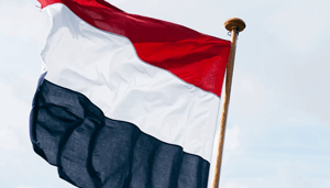 Nederlanders_stapten_massaal_de_cryptomarkten_binnen_in_2021 Nederlanders stapten massaal de cryptomarkten binnen in 2021