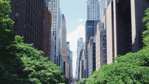 New_York_wil_bitcoin_BTC_mining_verbieden_voor_drie_jaar_omtrent_milieuzorgen New York wil bitcoin (BTC) mining verbieden voor drie jaar omtrent milieuzorgen