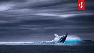Nieuwste_Bitcoin-rally_is_te_wijten_aan_manipulatie_door_Whales "Nieuwste Bitcoin-rally is te wijten aan manipulatie door Whales"