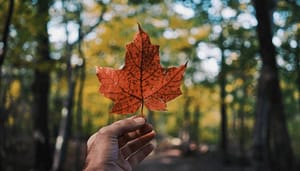 Nog_een_Noord-Amerikaanse_bitcoin_BTC_ETF_goedgekeurd_toegang_tot_BTC_steeds_makkelijker Nog een Noord-Amerikaanse bitcoin (BTC) ETF goedgekeurd, toegang tot BTC steeds makkelijker