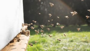 Nog_een_grote_Ethereum_ETH_mining_pool_sluit_de_deuren_wat_zal_het_effect_zijn Nog een grote Ethereum (ETH) mining pool sluit de deuren, wat zal het effect zijn