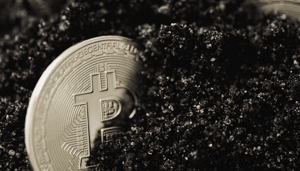 Oeroude_bitcoin_BTC_uit_Satoshi-tijdperk_werd_voor_het_eerst_verplaatst_op_verjaardag Oeroude bitcoin (BTC) uit Satoshi-tijdperk werd voor het eerst verplaatst op verjaardag