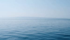 OpenSea_eerste_NFT_marktplaats_met_handelsvolume_boven_de_1_miljard_NFT_gekte_houdt_aan OpenSea eerste NFT marktplaats met handelsvolume boven de $1 miljard, NFT gekte houdt aan