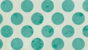 Polkadot_DOT_koers_schiet_hard_omhoog_wordt_morgen_genoteerd_op_Bitcoin_BTC_beurs_Coinbase Polkadot (DOT) koers schiet hard omhoog, wordt morgen genoteerd op Bitcoin (BTC) beurs Coinbase