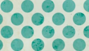 Polkadot_DOT_oprichter_Gavin_Wood_reageert_op_de_problemen_bij_Solana_SOL Polkadot (DOT) oprichter Gavin Wood reageert op de problemen bij Solana (SOL)