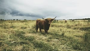 Ratio_bitcoin_en_ethereum_op_crypto_exchanges_bereikt_laagste_punt_in_jaren_bullish_voor_de_koersen Ratio bitcoin en ethereum op crypto exchanges bereikt laagste punt in jaren, bullish voor de koersen