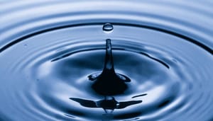 Ripple (XRP) lanceert fonds van $250 miljoen om NFT's op XRPL te stimuleren