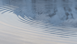 Ripple_medeoprichter_Jed_McCaleb_blijft_XRP_dumpen_ondanks_rechtszaak Ripple medeoprichter Jed McCaleb blijft XRP dumpen ondanks rechtszaak