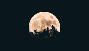 SafeMoon_SAFEMOON_slaat_de_plank_mis_Nieuwe_wallet_boordevol_problemen SafeMoon (SAFEMOON) slaat de plank mis Nieuwe wallet boordevol problemen