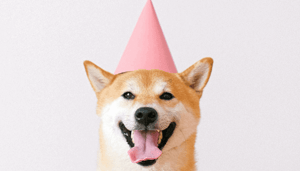 Shiba_Inu_bereikt_1_miljoen_houders_hoe_reageert_de_koers Shiba Inu bereikt 1 miljoen houders, hoe reageert de koers?