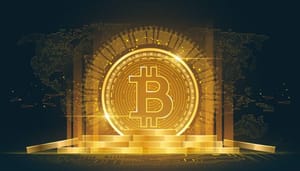 Aantal wallets met minstens 1 BTC nadert de miljoen
