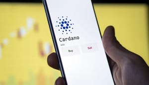 Shutterstock_2274379403 Cardano DeFi ecosysteem beleeft uitstekend kwartaal, dit is waarom